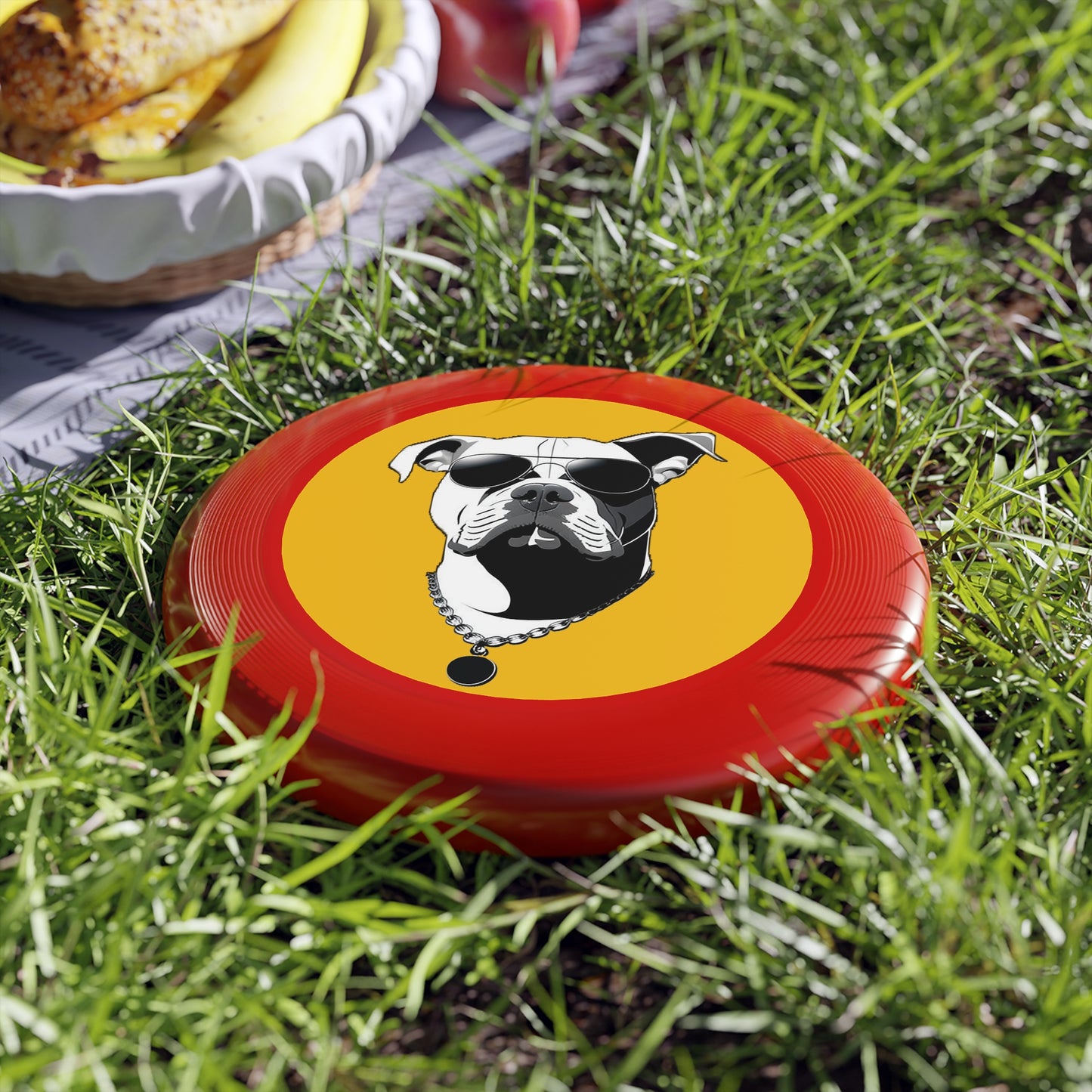 Dog with Sunglasses Frisbee