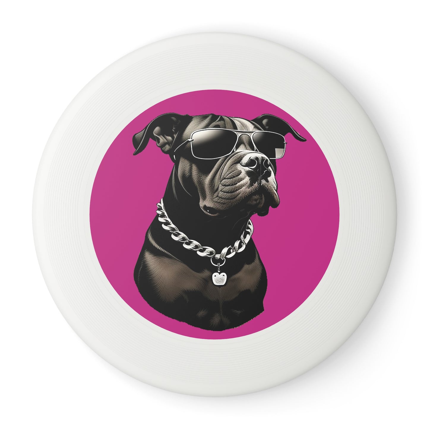 Dog with Sunglasses Frisbee