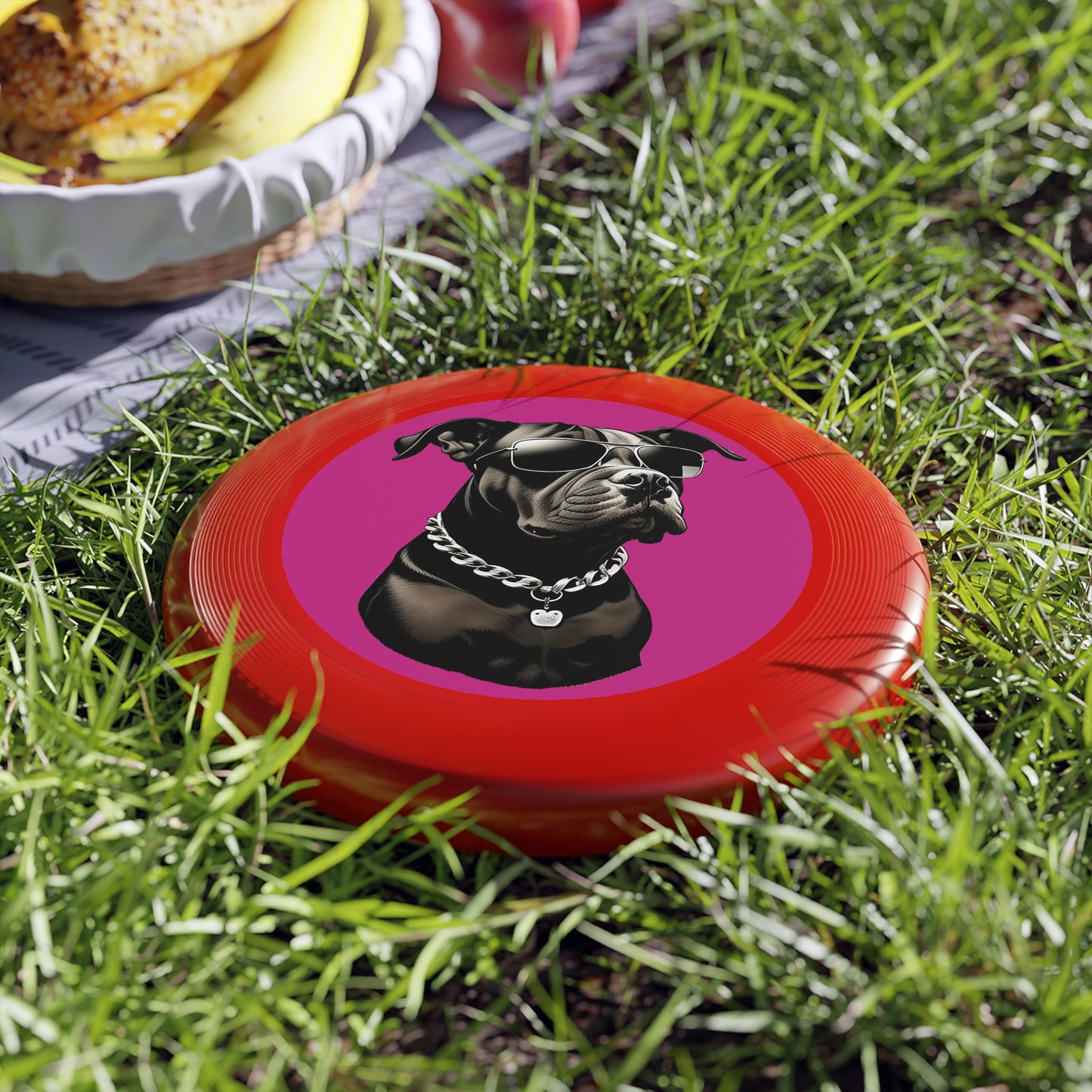 Dog with Sunglasses Frisbee