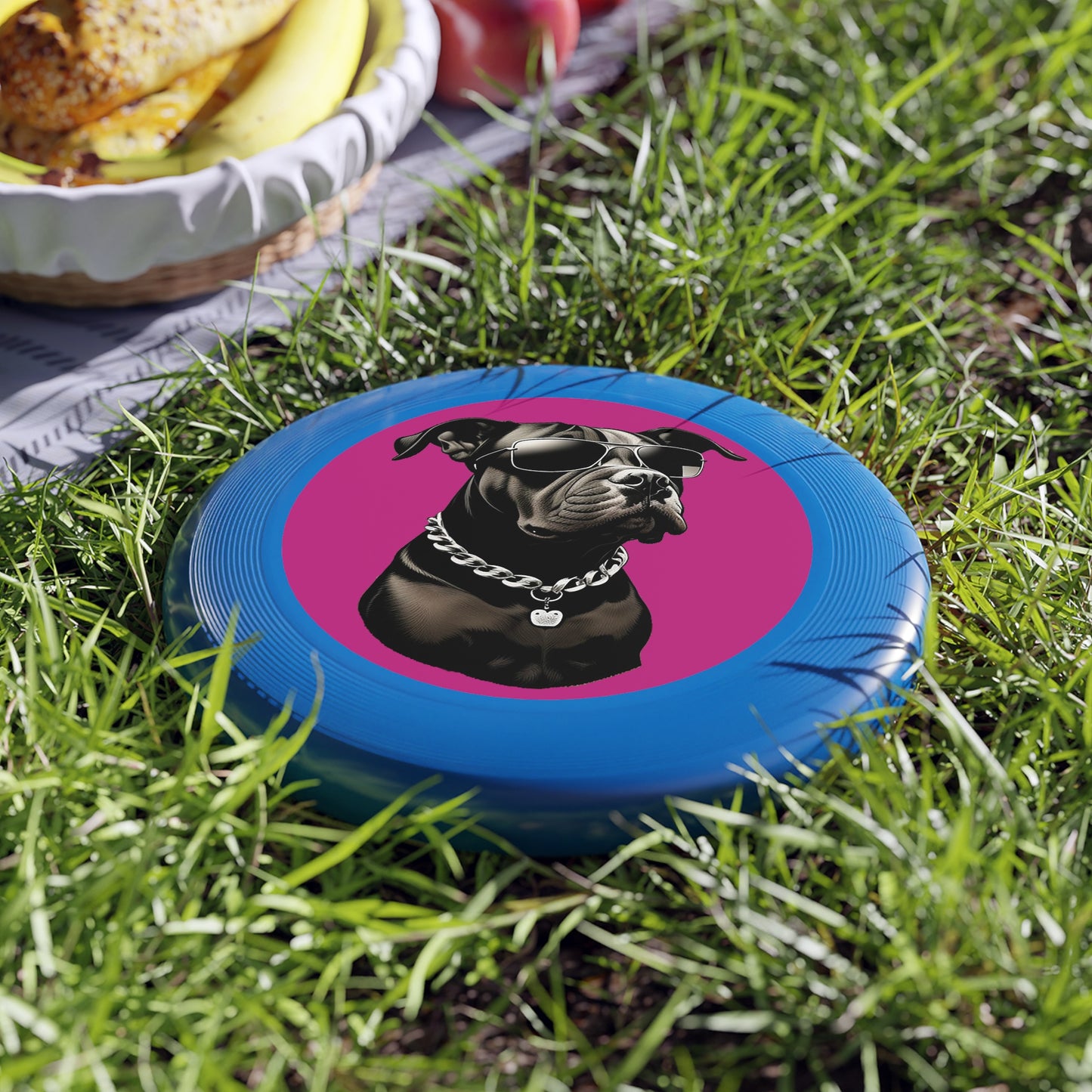 Dog with Sunglasses Frisbee