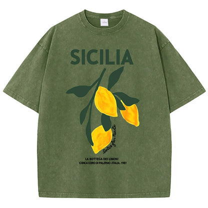 Sba2b788035634308813f6999970810afR